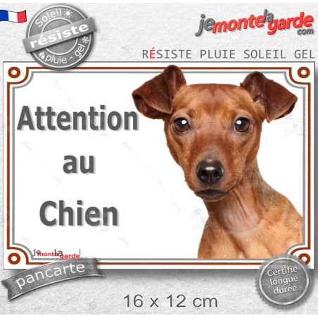 Pinscher Fauve marron Tête, Plaque portail "Attention au Chien" photo race, résiste pluie soleil gel, idée cadeau