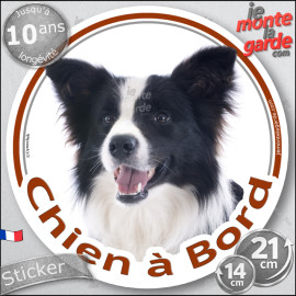 Border Collie noir et blanc poils longs, sticker autocollant rond "Chien à Bord" Disque adhésif vitre voiture auto photo, résist
