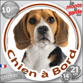 Beagle tricolore, sticker autocollant voiture rond "Chien à Bord" disque photo rond adhésif 3 couleurs, résiste pluie soleil gel