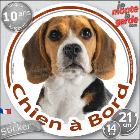 Beagle tricolore, sticker voiture rond photo "Chien à Bord" résiste pluie soleil gel, idée cadeau 2 tailles D