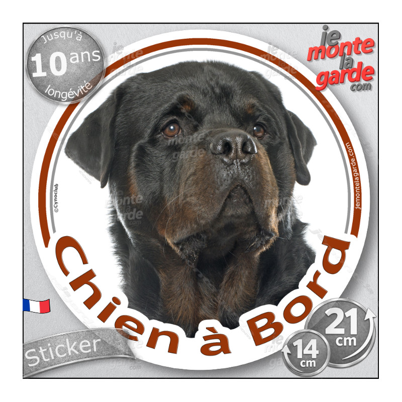 Rottweiler, sticker autocollant rond "Chien à Bord" Disque adhésif vitre voiture photo, résiste pluie soleil gel, idée cadeau Rottweiler, sticker autocollant rond "Chien à Bord" Disque adhésif vitre voiture photo, résiste pluie soleil gel, idée cadeau