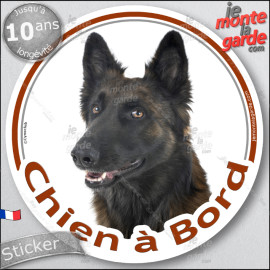 Berger Belge Tervuren lignée travail, sticker autocollant rond "Chien à Bord" adhésif voiture souche Tervuren, résiste pluie sol