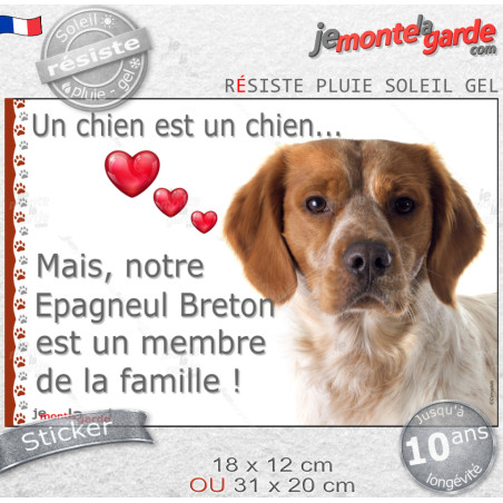 Sticker autocollant photo "Notre Epagneul Breton orange est un membre de la famille" adhésif, résiste pluie soleil gel, idée cad