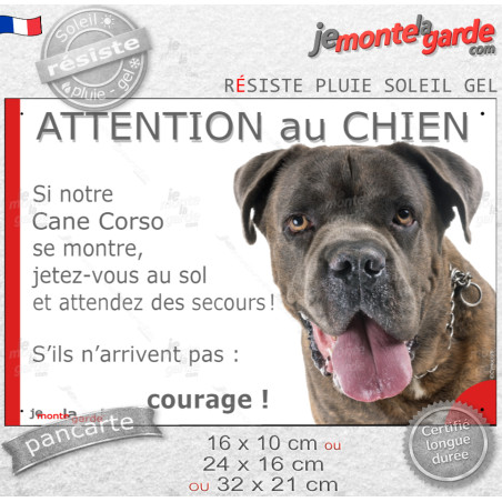 Cane Corso bringé, Panneau portail humour "Attention au Chien, se montre, jetez-vous au sol et attendez secours" photo, résiste 