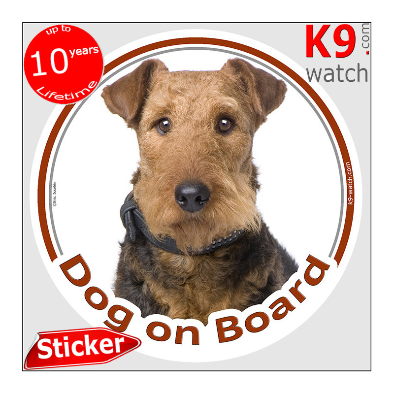 Airedale Terrier, car circle sticker "Dog on board" Decal label photo adhesive notice Bingley Waterside Terrier