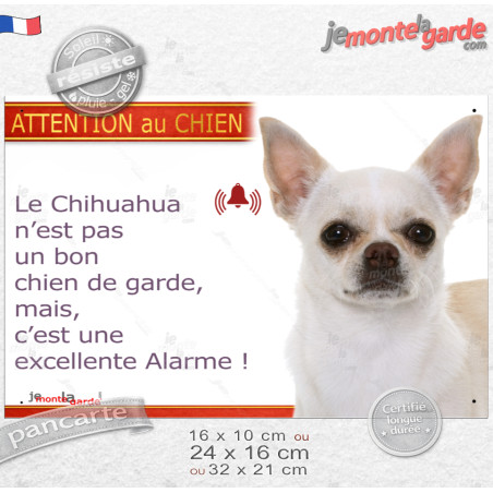 plaque portail humour "Attention au Chien, notre Chihuahua blanc et beige à poils courts est une excellente alarme" photo, résis