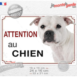 Staffie tout blanc, plaque portail "Attention au Chien" photo race Staffordshire Bull Terrier, résiste pluie soleil gel, idée ca