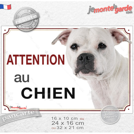 Staffie tout blanc, plaque portail "Attention au Chien" photo race Staffordshire Bull Terrier, résiste pluie soleil gel, idée ca