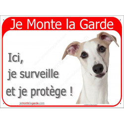 Lévrier Whippet fauve, plaque portail rouge "Je Monte la Garde, surveille et protège" pancarte photo race beige sable