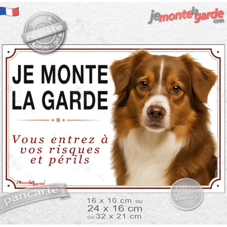 Berger Américain Miniature tricolore rouge, plaque portail "Je Monte la Garde, vous entrez à vos risques et périls" photo aussie