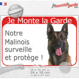 Berger Belge tête, plaque portail rouge "Je Monte la Garde, notre Malinois surveille et protège" photo bien visible, résiste plu
