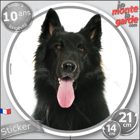 Berger Belge Groenendael, sticker rond "photo" disque adhési autocollant vitre voiture race chien noir, résiste pluie soleil gel