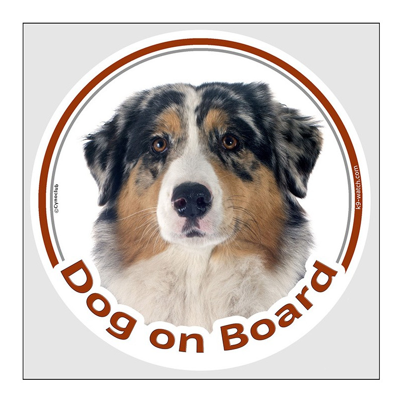 Circle sticker "Dog on board" 15 cm, Blue merle Australian Shepherd Head, decal adhesive car label Aussie