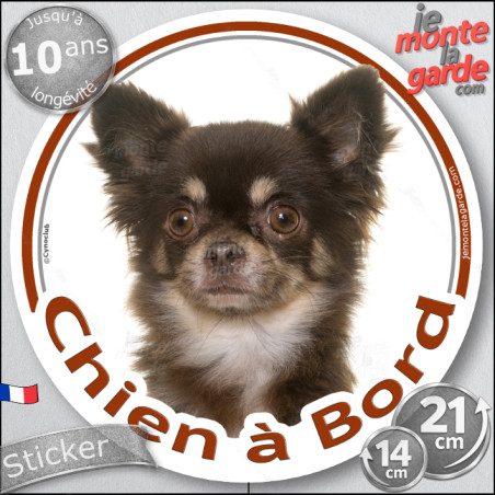 Chihuahua marron chocolat et tan poils longs, sticker autocollant rond "Chien à Bord" Disque photo adhésif vitre voiture, résist