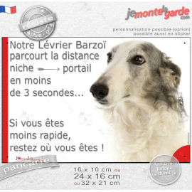 Lévrier Barzoï blanc et gris bleu, plaque humour "parcourt la distance Niche-Portail moins de 3 secondes, rapide" photo, résiste
