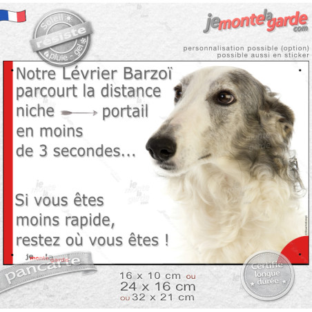 Lévrier Barzoï blanc et gris bleu, plaque humour "parcourt la distance Niche-Portail moins de 3 secondes, rapide" photo, résiste
