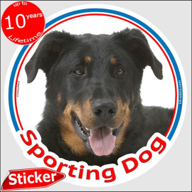 Beauceron, circle car sticker "Sporting Dog" 15 cm Indoor/Outdoor decal label photo notice agility French Shorthaired Shepherd,