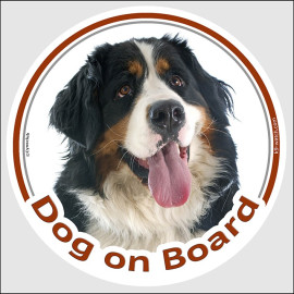Circle sticker "Dog on board" 15 cm, Bernese Moutain Dog Head, Decal adhesive label car Berner Sennenhund