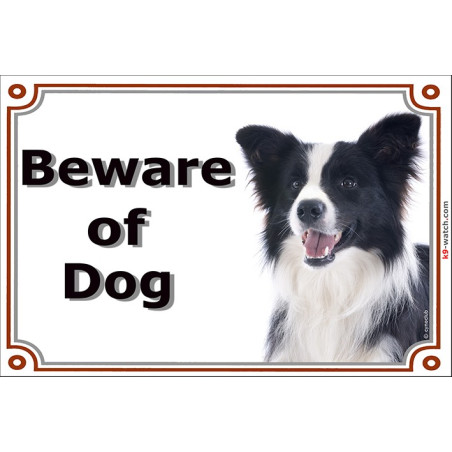 Portal Sign, 2 Sizes Beware of Dog, Border Collie black and white long hairs head