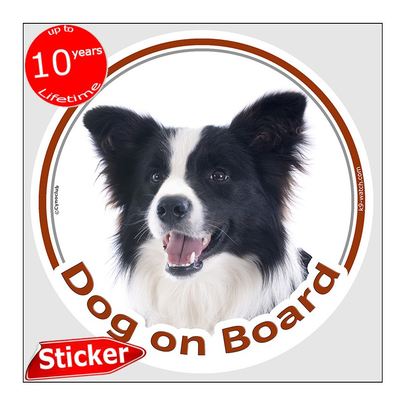 Circle sticker "Dog on board" 15 cm, Black & White Border longhaired Collie decal label adhesive photo notice