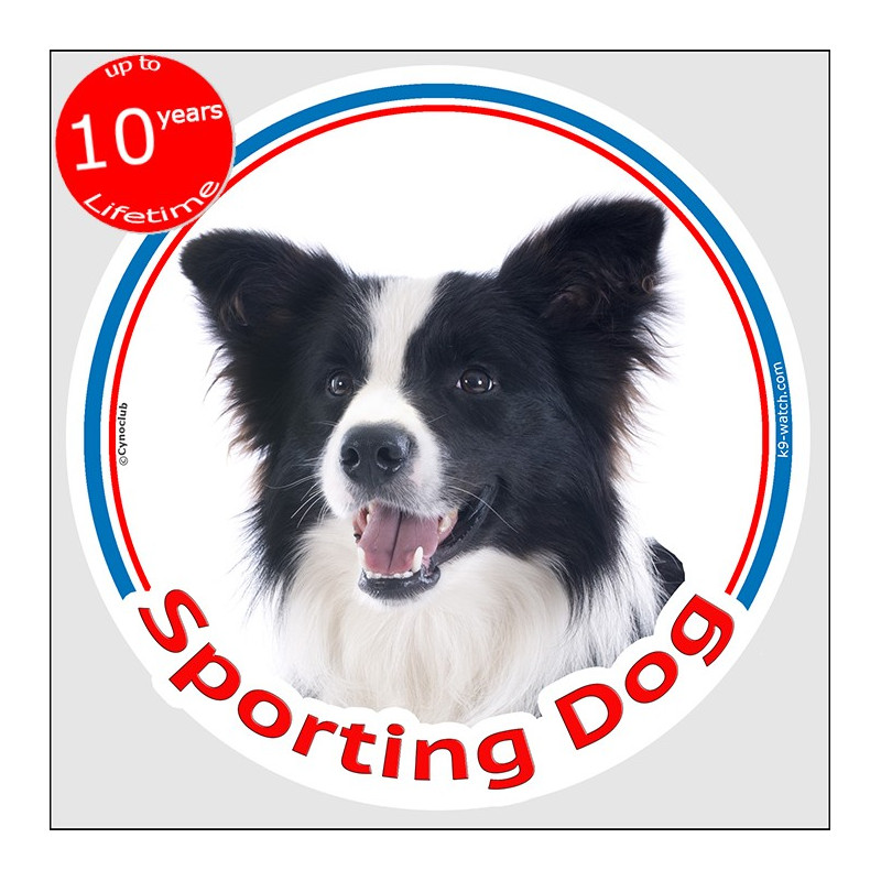 Black and white long hair Border Collie, circle car sticker In/Out "Sporting Dog" 15 cm decal label notice sport agility