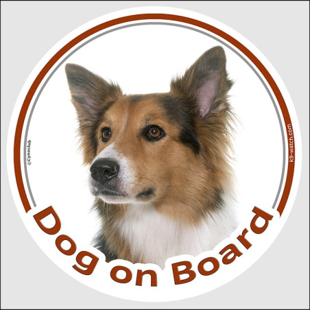 Tricolor Border Collie, Car Circle sticker "Dog on board" 2 sizes