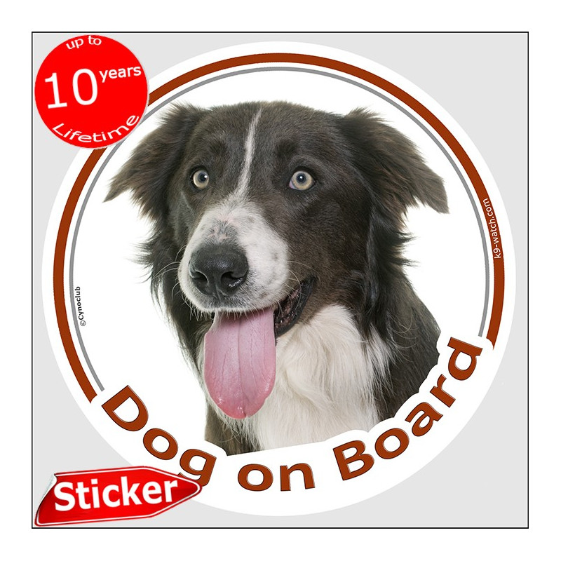 Brown Border Collie, circle car sticker "Dog on board" 15 cm decal label photo notice adhesive Brown Border Collie, circle car sticker "Dog on board" 15 cm decal label photo notice adhesive