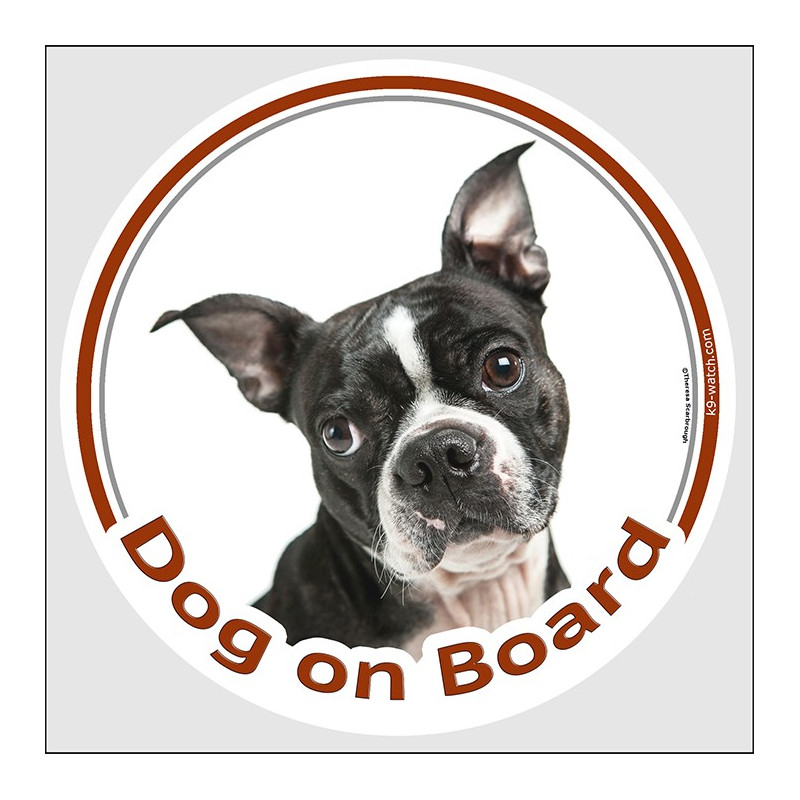 Circle sticker "Dog on board" 15 cm, Boston Terrier Head, decal adhesive car label Bull Boxwood