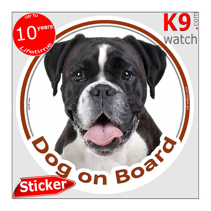 Dark black brindle German Boxer, car circle sticker "Dog on board" decal adhesive car label photo notice