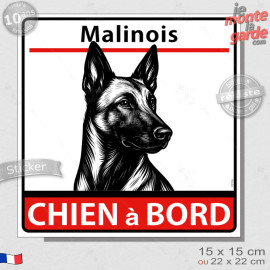 Berger Belge Malinois, sticker autocollant "Chien à Bord" adhésif vitre voiture photo, résiste pluie soleil gel, idée cadeau