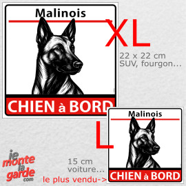 Autocollant voiture dessin "Malinois à Bord" résiste dehors, 2 Tailles