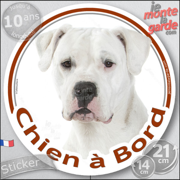 Dogue Argentin Tête, sticker autocollant rond "Chien à Bord" Disque adhésif photo vitre voiture chien Dogo, résiste pluie soleil Dogue Argentin Tête, sticker autocollant rond "Chien à Bord" Disque adhésif photo vitre voiture chien Dogo, résiste pluie soleil
