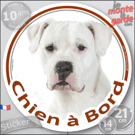 Dogue Argentin Tête, sticker autocollant rond "Chien à Bord" Disque adhésif photo vitre voiture chien Dogo, résiste pluie soleil