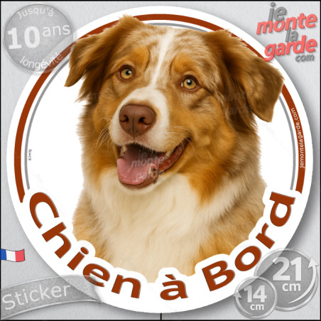 Berger Australien Rouge Merle yeux ambre Tête, sticker autocollant rond "Chien à Bord" Aussie vitre voiture auto disque photo, r