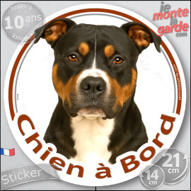 Amstaff tricolore, disque photo autocollant "Chien à Bord" Sticker adhésif rond vitre voiture American Staff Terrier, résiste pl
