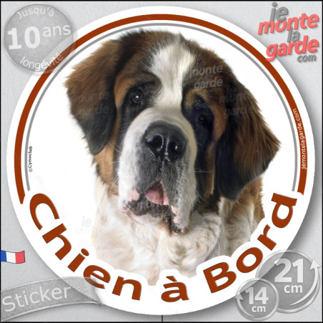 Saint-Bernard, sticker voiture rond photo "Chien à Bord" résiste pluie soleil gel, idée cadeau, 2 Tailles D