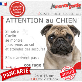Carlin fauve sable, plaque portail humour "Attention au Chien, Jetez Vous au Sol, attendez secours courage" photo, résiste pluie