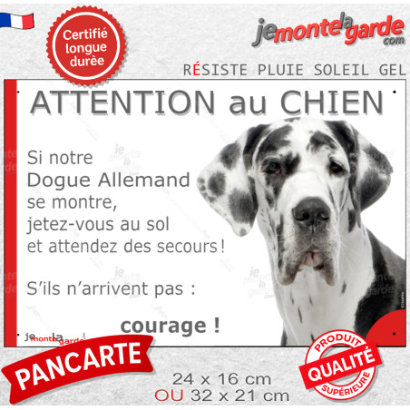 Dogue Allemand Arlequin, plaque portail humour "Attention au Chien, Jetez Vous au Sol, attendez secours, courage" photo Danois, 