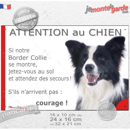 Border Collie noir et blanc poils longs, plaque portail humour "Attention au Chien, Jetez Vous au Sol" photo, résiste pluie sole