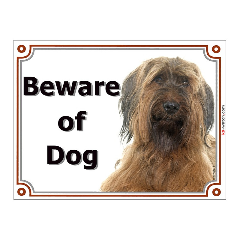 Fawn Briard head, portal Sign "Beware of Dog" berger de Brie placard portal, door plate photo notice
