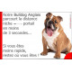 Bulldo Anglais, plaque humour "parcourt distance Niche-Portail moins 3 secondes, rapide" pancarte photo attention au chien