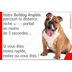 Bulldog Anglais, plaque humour "distance Niche - Portail" 24 cm 3SEC