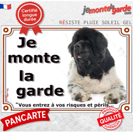 Terre Neuve noir et blanc, plaque portail "Je Monte la Garde vous entrez à vos risques et périls" photo Attention au Chien, rési