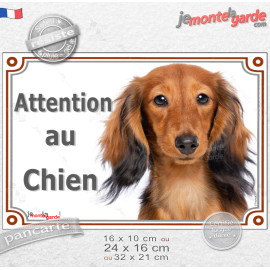 Teckel à Poils Longs Fauve, plaque portail horizontal "Attention au chien" photo, résiste pluie soleil gel, idée cadeau