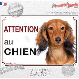 Teckel à Poils Longs Fauve, plaque portail horizontal "Attention au chien" photo, résiste pluie soleil gel, idée cadeau