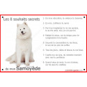 Samoyède Assis, plaque "8 Souhaits Secrets" 24 cm CDT