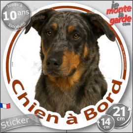 Beauceron Arlequin Tête, sticker rond "Chien à Bord" Disque autocollant Berger Beauce merle adhésif voiture auto photo, résiste 