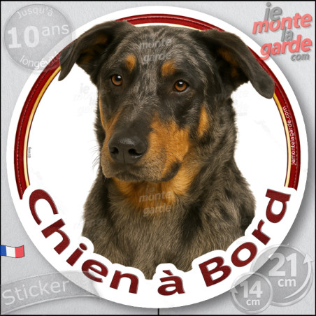 Beauceron Arlequin Tête, sticker rond "Chien à Bord" Disque autocollant Berger Beauce merle adhésif voiture auto photo, résiste 