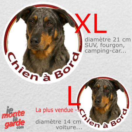 Beauceron Arlequin, sticker voiture rond photo "Chien à Bord" résiste pluie soleil gel, idée cadeau, 2 Tailles D