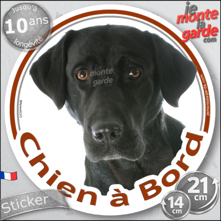 Labrador noir Tête, sticker autocollant rond "Chien à Bord" Disque photo adhésif vitre voiture, résiste pluie soleil gel, idée c